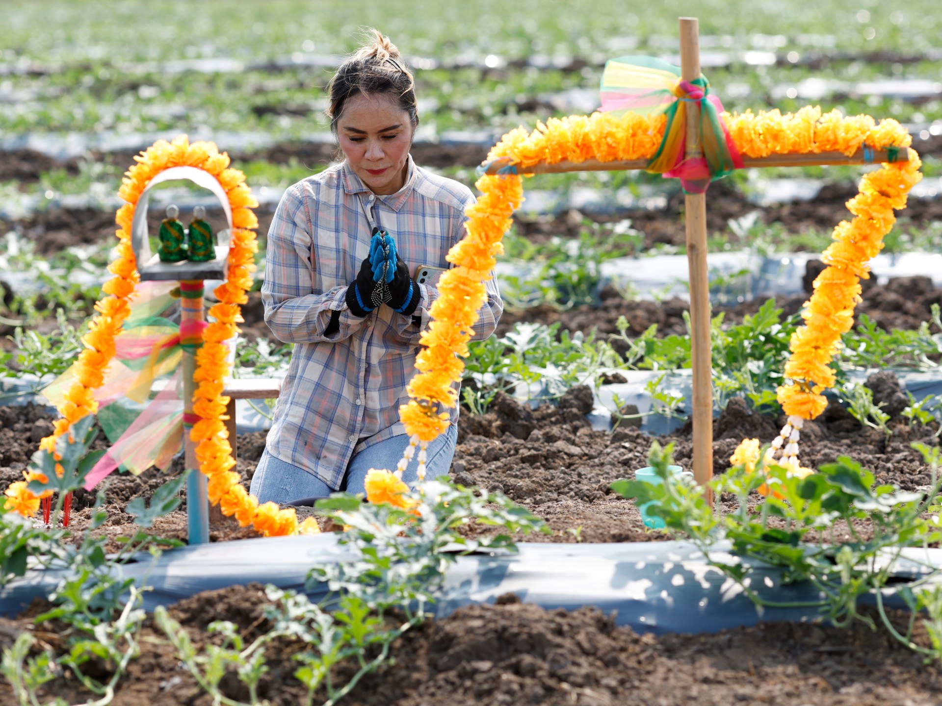 World faces food ‘catastrophe’ if Strait of Hormuz disruption persists: FAO - Grenada Chronicle – Daily